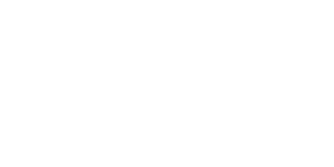 Partner 01 white