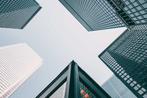 Business Management Basics - Free for All Our Clients! (default-template) Business Management Basics - Free for All Our Clients! (default-template)